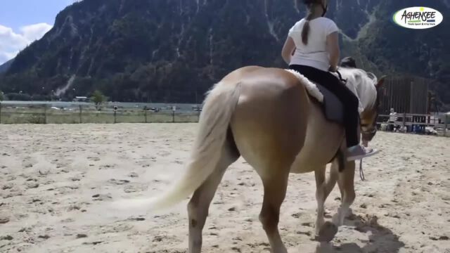 *** Kinderprogramm am Achensee ***

Wenn Ihr und eure Kinder mal euer eigenes Ding machen wollt, ist mit dem Kinderprogramm am Achensee bestens vorgesorgt.

Spiel, Spaß und Abenteuer – das Kinderprogramm Achensee, das von 4. Juli bis 02. September 2022 stattfindet, bietet abwechslungsreiche Erlebnisse inmitten besonderer Naturlandschaft. An bestimmten Tagen können nicht nur die Kinder, sondern sogar die ganze Familie mitmachen.

#meerberg #meerbergliebe #meerbergapartments #meerblick #seeliebe #bergweh #beyou #achensee #achenseetirol #tirol #österreich #visitaustria #pertisau #loveachensee #travel #urlaub #see #natur #berge #vacation #reisen

@visitaustria 
@loves_austria 
@enjoyaustria 
@discoveraustria 
@365austria 
@1000thingsinaustria
@visittirol 
@visit.tirol 
@achensee__