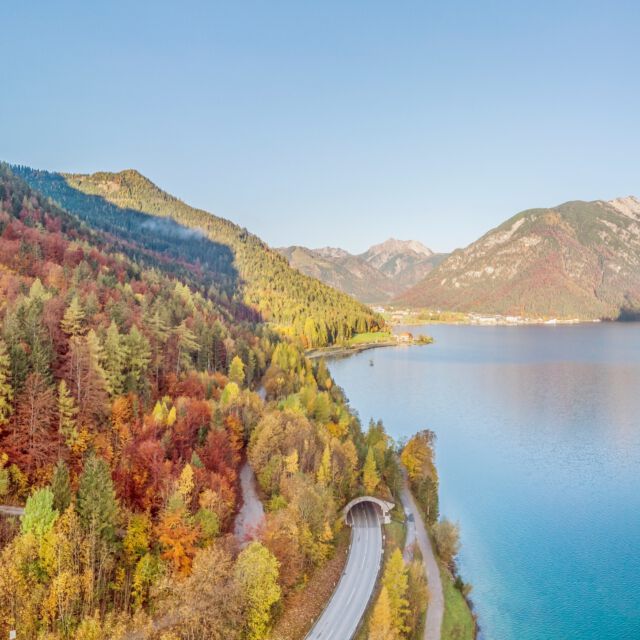 🍂 Lass dich verzaubern, während der Herbst langsam Einzug hält! 🏞️🍁 Unsere Apartments bieten dir atemberaubende Ausblicke auf die bald in warmen Farben leuchtende Natur. Und nicht nur das – unsere Appartements sind der optimale Ausgangspunkt für Aktivitäten. Genieße die Schönheit des Herbstes, während du von hier aus die Natur erkundest! 🍂🌄

#Herbstzauber #AchenseeViews #BaldigerHerbsteinzug #aktivurlaub #meerberg #meerbergliebe #meerbergapartments #meerblick #seeliebe #bergweh #beyou #achensee #achenseetirol #tirol #österreich #visitaustria #pertisau #loveachensee #travel #urlaub #see #natur #berge #vacation #reisen